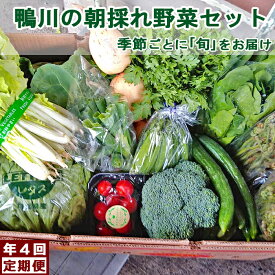 【ふるさと納税】【年4回定期便】鴨川の朝採れ野菜「旬」を味わうセット [0056-0001]