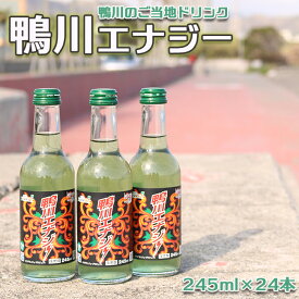 【ふるさと納税】【鴨川のご当地ドリンク】鴨川エナジー 245ml×24本 [0020-0081]
