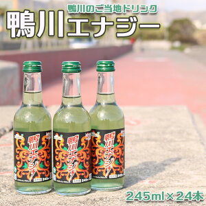 yӂ邳Ɣ[ŁzŷnhNzGiW[ 245ml×24{ [0020-0081]