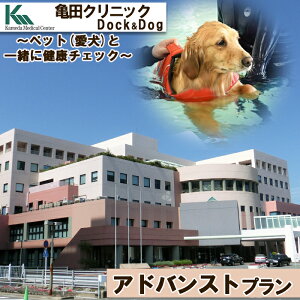 yӂ邳Ɣ[ŁzyTcNjbN Dock&DogzAhoXgv@1li12Htj @[0647-0001]