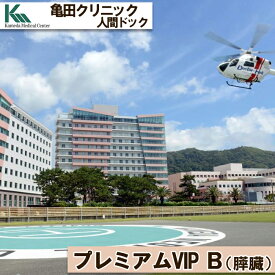 【ふるさと納税】【亀田クリニック人間ドック】プレミアムVIP B（膵臓）コース　1名様（1泊2日）　[0960-0001]