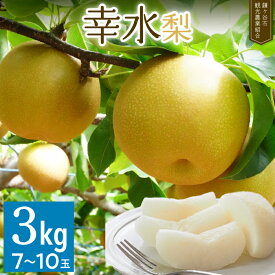 【ふるさと納税】【観光組合】かまがや育ちの完熟梨（幸水 約3kg）