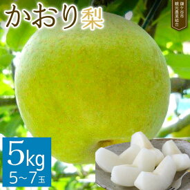 【ふるさと納税】梨 なし かおり 約 5kg 完熟 甘い 果物 フルーツ 和梨 贈答用 ギフトかまがやの梨 甘み 品種 千葉県 鎌ケ谷市 先行予約