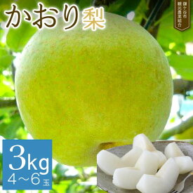 【ふるさと納税】※先行予約※【かおり3kg】かまがや育ちの完熟梨（観光組合）先行予約 なし 完熟 甘い 果物 フルーツ 和梨 贈答用 ギフト甘み 品種 千葉県 鎌ケ谷 2026年9月以降順次発送 先行予約 くだもの 果実 かおり