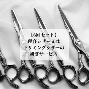 yӂ邳Ɣ[ŁzyO[}EX6ZbgzeVU[̓g~OVU[̌T[rX