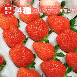 yӂ邳Ɣ[ŁzysʁIz܁`n