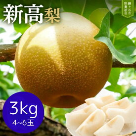 【ふるさと納税】梨 なし 新高 約 3kg 4～6玉 完熟 甘い 果物 フルーツ 和梨 贈答用 ギフト 甘み 品種 千葉県 鎌ケ谷市 2026年9月以降順次発送 先行予約