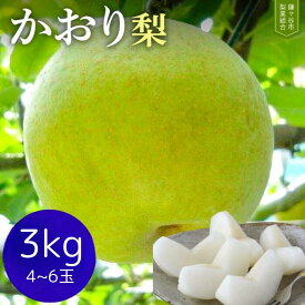 【ふるさと納税】梨 かおり 約 3kg 4～6玉 ｜ 先行予約 なし 完熟 甘い 果物 フルーツ 和梨 贈答用 ギフト甘み 品種 千葉県 鎌ケ谷 2026年9月以降順次発送 先行予約 くだもの 果実 かおり