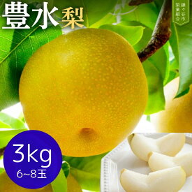 【ふるさと納税】梨 なし 豊水 約 3kg 完熟 甘い 果物 フルーツ 和梨 贈答用 ギフトかまがやの梨 甘み 品種 千葉県 鎌ケ谷市 2026年8月以降順次発送 先行予約