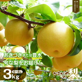 【ふるさと納税】 梨 なし 豊水 あきづきなど 旬の梨 をお届け 約 3kg 豊水 あきづき 完熟 甘い 果物 フルーツ 和梨 贈答用 ギフトかまがやの梨 甘み 品種 千葉県 鎌ケ谷市 先行予約