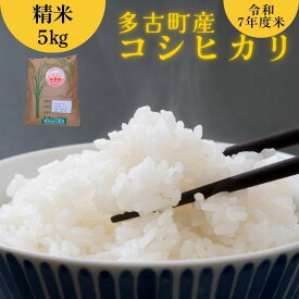 【ふるさと納税】多古町産 コシヒカリ 5kg 令和7年産 ｜米 コメ こめ 精米 国産 お米 白米 千葉県 おすすめ 鎌ケ谷市 送料無料