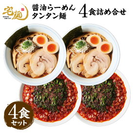 【ふるさと納税】 麺処びぎ屋 醤油らーめん ＆ ビンギリ タンタン麺 各2食セット 濃口醤油 ラーメン 6年連続　ミシュラン・ビブグルマン掲載店 辛い 自家製 ラー油 らーめん 鎌ケ谷市 千葉県 送料無料 お取り寄せ 食品