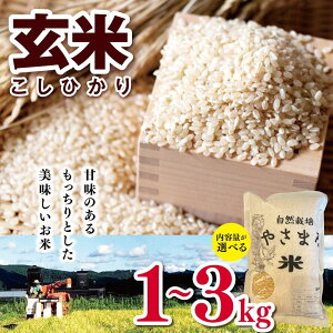 yӂ邳Ɣ[Łz RVqJ  1kg or 2kg or 3kg | ₳܂       ܂ ₳܂ Ђ t NÎs ݂