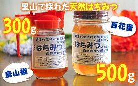 【ふるさと納税】純国産 はちみつ 計2瓶 君津産 百花蜜 500g 1瓶 & 烏山椒 300g ハニーディスペンサー入り 1瓶 無添加 送料無料 人気の直売所 農事組合法人なごみの里君津 君津市 きみつ 千葉県