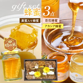 【ふるさと納税】 希少 天然 蜂蜜 巣蜜 ( コムハニー ) 入 ギフト3点セット | 国産 君津市 きみつ 千葉県 プレゼント 贈答用 はちみつ工房 国産 巣 の ザクザク 食感 ジュワっと 広がる 蜜 の 甘み 千葉 君津 きみつ 1万2千円