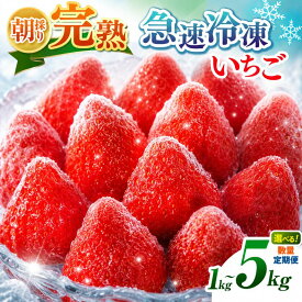 【ふるさと納税】 冷凍いちご 国産 千葉県産 バラ冷凍 完熟 急速冷凍 ヘタなし 選べる容量 1kg～5kg 定期便 1回 2回 3回 6回｜渡邉いちご園 冷凍イチゴ 冷凍苺 いちご イチゴ 苺 ヘタ取り スムージー ジャム ヨーグルト おやつ デザート 朝採り 紅ほっぺ 恋みのり 君津市