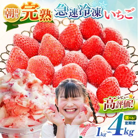 【ふるさと納税】 定期便 始めました！ 急速冷凍 完熟 冷凍いちご 選べる 数量 回数 内容量 1~4kg 国産 | 冷凍イチゴ 冷凍便 果物 フルーツ くだもの いちご イチゴ 苺 冷凍 いちご 1kg 2kg 3kg 4kg 1回 3回 6回 イチオシ 千葉 君津 きみつ 6500円 1万3千円