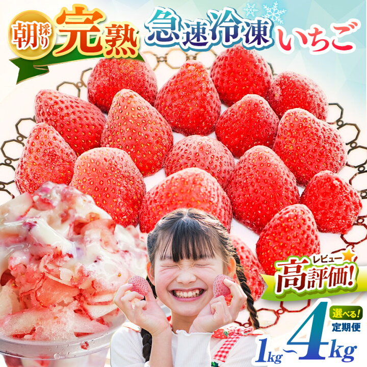 【2025年夏発送】《 業務用 》 加工向きな 冷凍いちご 紅ほっぺ 3kg 【魚油】 簡易梱包 🎀 サイズ 不揃い のため 訳あり 訳アリ フルーツ 果物 .. 岐阜県本巣市