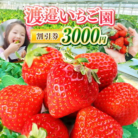 【ふるさと納税】 渡邉いちご園 割引券 3000円 | 果物 くだもの フルーツ いちご イチゴ 苺 ストロベリー 利用券 体験 きみつ 君津市 千葉県