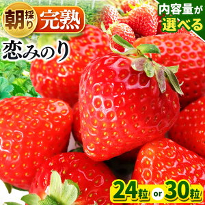 yӂ邳Ɣ[Łzy 2026Ns\ z ݂̂ 嗱 24  or  30  | ʕ  t[c  C`S  Iׂ i Iׂ 傫   n糂 NÎs ݂