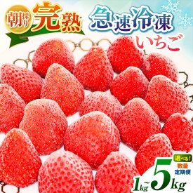 急速冷凍 完熟 冷凍いちご