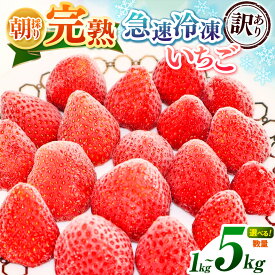 【ふるさと納税】 冷凍いちご 訳あり 国産 千葉県産 バラ冷凍 小粒 規格外 不揃い 完熟 急速冷凍 選べる容量 1kg～4kg｜渡邉いちご園 冷凍イチゴ 冷凍苺 いちご イチゴ 苺 ヘタ取り スムージー ジャム ヨーグルト おやつ デザート 朝採り 紅ほっぺ 恋みのり 君津市 きみつ