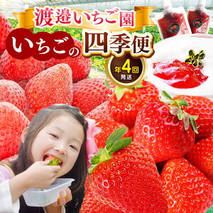 yӂ邳Ɣ[Łzy 4z n糂yށg̎lGցh |   C`S ʕ t[c ӂ[ ꂢƂ ʎ ʏ` Ⓚ Ⓚ ̂ n VN \[X 