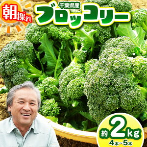 yӂ邳Ɣ[Łzɂ_@ ubR[ 2kg 4`5{ | ؃AEt@[ ubR[ ɂ_@ Y VN lߍ킹 Yn h{Ղ  { ؃At@[ VN 