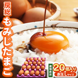 【ふるさと納税】 卵 もみじたまご 純国産鶏 赤卵 赤玉 Lサイズ 20個 2週間以内発送 千葉県産 国産 | 三枝農場 房総もみじたまご もみじ卵 たまご タマゴ 鶏卵 新鮮 うみたて 卵かけご飯 TKG 農場直送 お取り寄せ 千葉県 君津市 きみつ