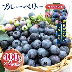 yӂ邳Ɣ[Łz 2026N s\ _ƒ u[׃[ ( rbgAC ) 400g × 2pbN ό_WW̎R | WW̎R  t[c ʕ  u[x[ Ԃ[ׂ[ t 