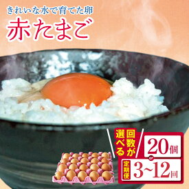 【ふるさと納税】【選べる回数】2週間以内に発送 きれいな水で育てた卵 赤たまご 20個 1回～12回 | 早く届く すぐ すぐ発送 保坂農場 赤玉 赤い卵 卵 たまご 銘水 定期便 定期 3回 6回 12回 君津市産 イチオシ 千葉 君津 きみつ 房総