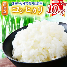 【ふるさと納税】 【 9月下旬から順次発送 】 新米 令和7年産 コシヒカリ 5kg or 10kg 精米 きれいな水で育てたお米 | 保坂農場 ちばエコ農産物 君津市産 イチオシ 千葉 君津市 きみつ 房総