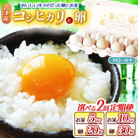 【ふるさと納税】 【 お米と卵の 定期便 2回 】 新米 令和7年産 コシヒカリ ( 5kg or 10kg ) 精米 ＆ 青卵 アローカナ ( 20個 or 30個 ) きれいな水で育てたシリーズ | 保坂農場 卵 たまご ちばエコ農産物 こしひかり 君津市産 たまかけ イチオシ 千葉 君津市 きみつ 房総