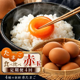 【ふるさと納税】たまご 卵 定期便 4回 【 赤玉 4種 】 食べ比べ 4回 君津市産 | 菜の花エッグ アスタキサンチン卵 菜の花たまご 三枝農場 保坂農場 光永ファーム たまご タマゴ 玉子 定期 赤 卵かけご飯 新鮮 イチオシ 千葉県 君津市 きみつ