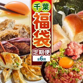 【ふるさと納税】 定期便 6回 千葉 君津市 福袋 | 特産品 毎月ちがう返礼品が届く！ お試し お楽しみ 人気商品 かずさ和牛 総菜 セット ハンバーグ コロッケ ねぎとろ ネギトロ 海苔 冷凍 米粉 パン 餃子 赤たまご 卵 海苔 のり ご飯のお供 オススメ 君津市 千葉県 きみつ