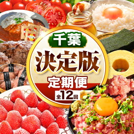 【ふるさと納税】 定期便 12回 千葉 君津市 決定版 | かずさ和牛 ハンバーグ ねぎとろ ネギトロ ハッピーバウム アローカナ スイートベル 冷凍いちご イチゴ トマトカレー はちみつ お米 こめ コシヒカリ 無洗米 海苔 のり 自然薯 君津市 千葉県