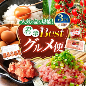 【ふるさと納税】 定期便 3回 大人気 ! ベスト グルメ ねぎとろ 永光卵 ミニトマト 君津市 オリジナル | ネギトロ とろ 鮪 海鮮 魚介 魚 小分け 人気 定番 ご飯 オススメ セレクト 卵 たまご スイートベル 高糖度 とまと イチオシ 千葉県