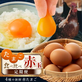【ふるさと納税】★ レビューキャンペーン ★ 定期便 4回 たまご 【 赤玉 4種 】 食べ比べ 4回 君津市産 | 菜の花エッグ アスタキサンチン卵 菜の花たまご 三枝農場 保坂農場 光永ファーム 卵 タマゴ 玉子 定期 赤 卵かけご飯 新鮮 イチオシ 千葉県 君津市 きみつ