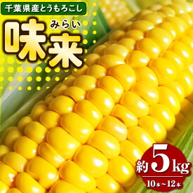 【ふるさと納税】 農家直送 とうもろこし 味来 約 5kg（ 10 ～ 12 本） | 高糖度 ベテラン農家 こだわり プロ 野菜 とうもろこし スイートコーン コーン トウモロコシ 里菜ファーム 新鮮 朝採り 千葉 君津 きみつ