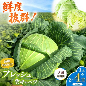 yӂ邳Ɣ[Łz s\ y3zLxc 1ʁ`4 NxQI _ƉƂ肪| ׂ 4`5kg | ̕X ̂ӂ Ƃ낯  tbV VN [Lxc 