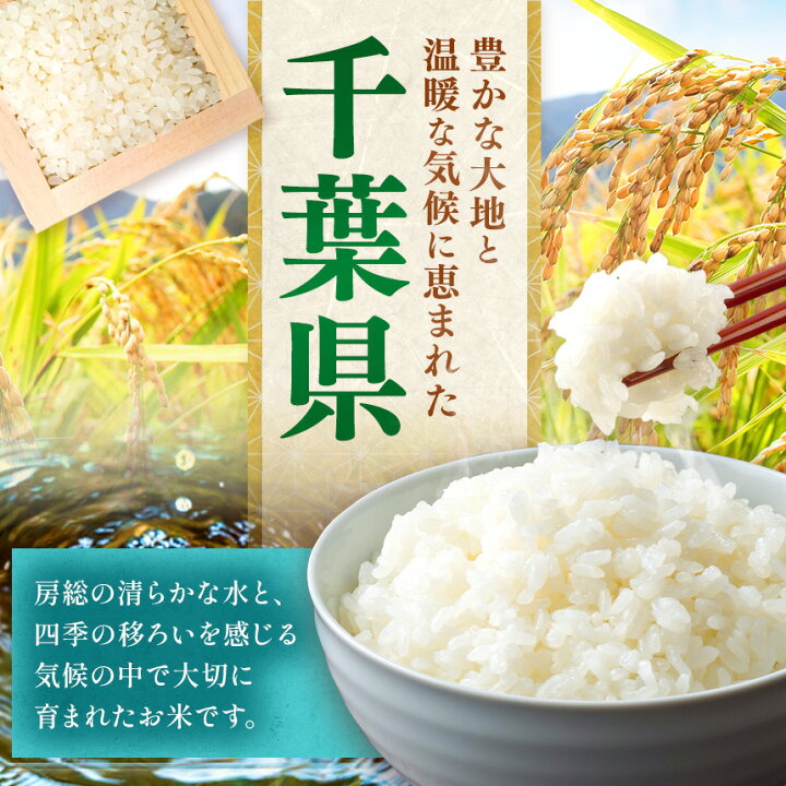 楽天市場】【ふるさと納税】無洗米 コシヒカリ 令和7年産 千葉県産 