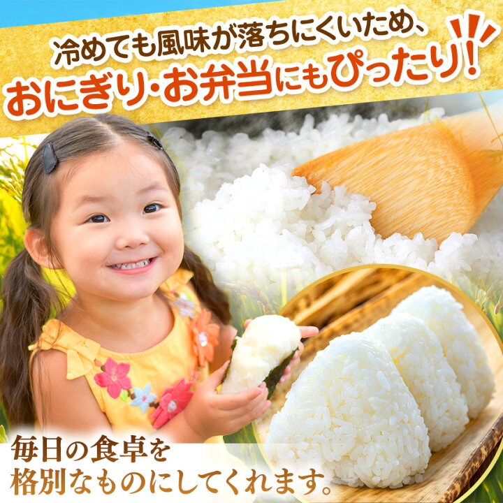 楽天市場】【ふるさと納税】無洗米 コシヒカリ 令和7年産 千葉県産 
