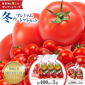 【ふるさと納税】冬のプレミアム・トマトセット　約1.2kg | トマト とまと 国産 千葉県産 採れたて 新鮮 旬 プレミアム 2月発送 | 愛彩畑 野菜 千葉県 君津市 きみつ