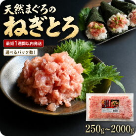 【ふるさと納税】ネギトロ 250g パック 250g ～ 2000g 定期便 スピード発送 選べる ねぎとろ 小分け 手詰め | 清幸丸水産 ランキング 海鮮丼 冷凍 手巻き 千葉県 君津 きみつ