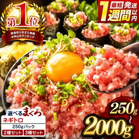 【ふるさと納税】 ネギトロ 天然まぐろ 250g パック 選べる 250g～2000g 定期便 小分け ねぎとろ まぐろたたき まぐろのたたき マグロたたき ネギとろ ねぎトロ スピード発送 手詰め | 清幸丸水産 マグロ 鮪 ネギトロ丼 海鮮丼 手巻き寿司 ユッケ 冷凍 千葉県 君津市 きみつ