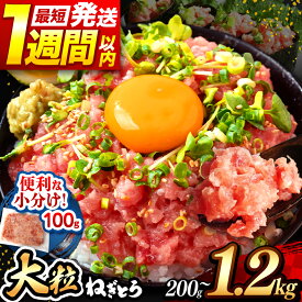【ふるさと納税】 ネギトロ 100g パック 定期便 200g 400g 500g 900g 1200g 1週間以内発送 | お試し ねぎとろ まぐろ 小分け 手詰め | 清幸丸水産 高評価 たたき タタキ 鮪 maguro 手巻き ユッケ イチオシ 千葉県 君津市 きみつ
