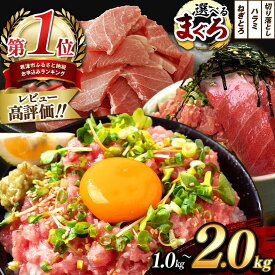 【ふるさと納税】★ レビューキャンペーン 実施中 ★ 定期便 お試し 選べる ねぎとろ 小分け 250g 1000g～2000g | 清幸丸水産 高評価 ネギトロ マグロ ハラミ たたき タタキ 切り落とし 鮪 海鮮 海鮮丼 冷凍 手巻き セット 雑誌掲載 | イチオシ 千葉県 君津 きみつ