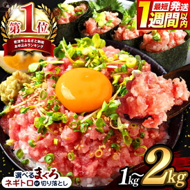 【ふるさと納税】 250gパック 定期便 1000g～2000g スピード発送 お試し 選べる ねぎとろ 小分け | 清幸丸水産 最短7日以内発送 高評価 ネギトロ マグロ たたき タタキ 切り落とし 鮪 海鮮 ユッケ 海鮮丼 冷凍 手巻き セット 雑誌掲載 | イチオシ 千葉県 君津 きみつ