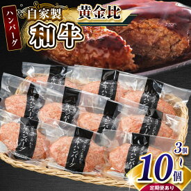 【ふるさと納税】【 選べる容量・定期便 】 自家製和牛ハンバーグ （生・冷凍個別真空）3個～10個 1回～6回 | 牛肉 牛 肉 にく 和牛 かずさ和牛 国産 ハンバーグ 新鮮 オススメ 千葉県 君津市 きみつ