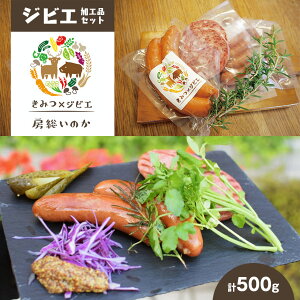 yӂ邳Ɣ[ŁzY  WrG HiZbg 500g |  Ⓚ ̂tN ̂{jA \[Z[W `\[ EBi[ [̂WrG NÎs 